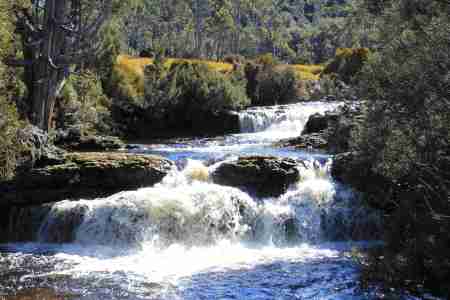 tasmania-cradle-mountain-pencil-pine-falls-2016-3